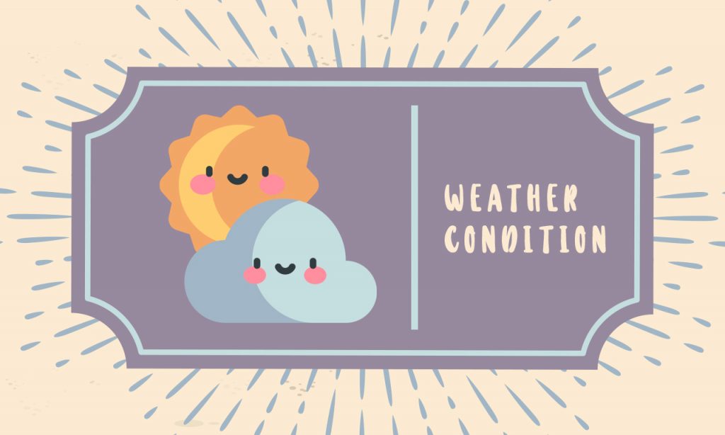 Weather Condition