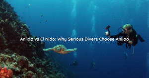 Anilao vs El Nido Diving Guide | Vivere Azure